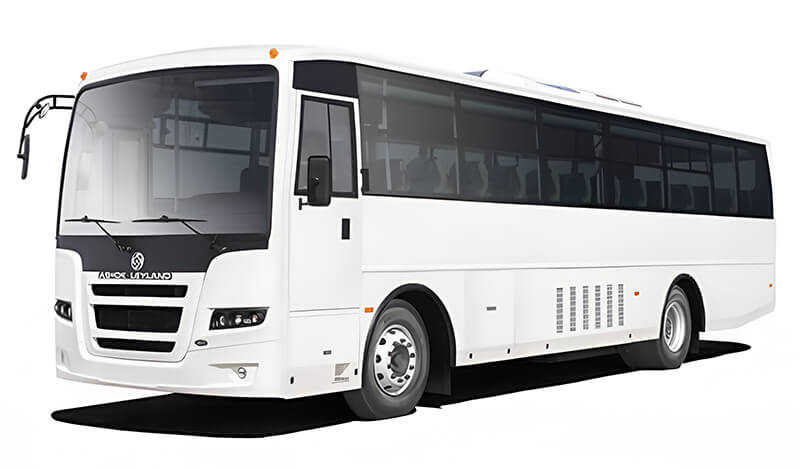 Buses